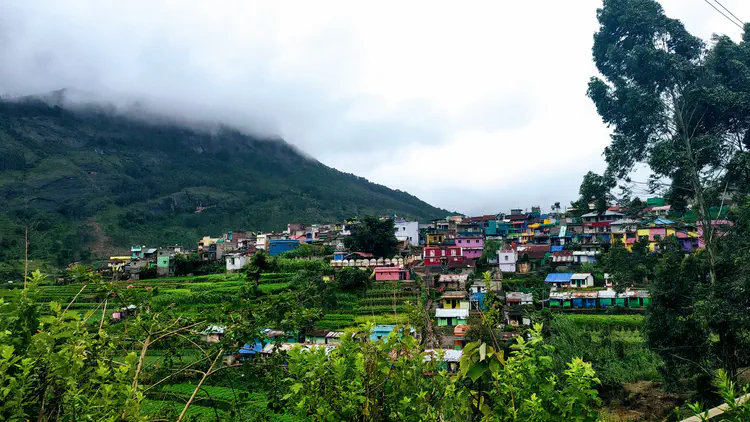 scenary001.jpg